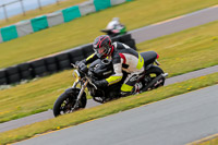 PJ-Motorsport-2019;anglesey-no-limits-trackday;anglesey-photographs;anglesey-trackday-photographs;enduro-digital-images;event-digital-images;eventdigitalimages;no-limits-trackdays;peter-wileman-photography;racing-digital-images;trac-mon;trackday-digital-images;trackday-photos;ty-croes